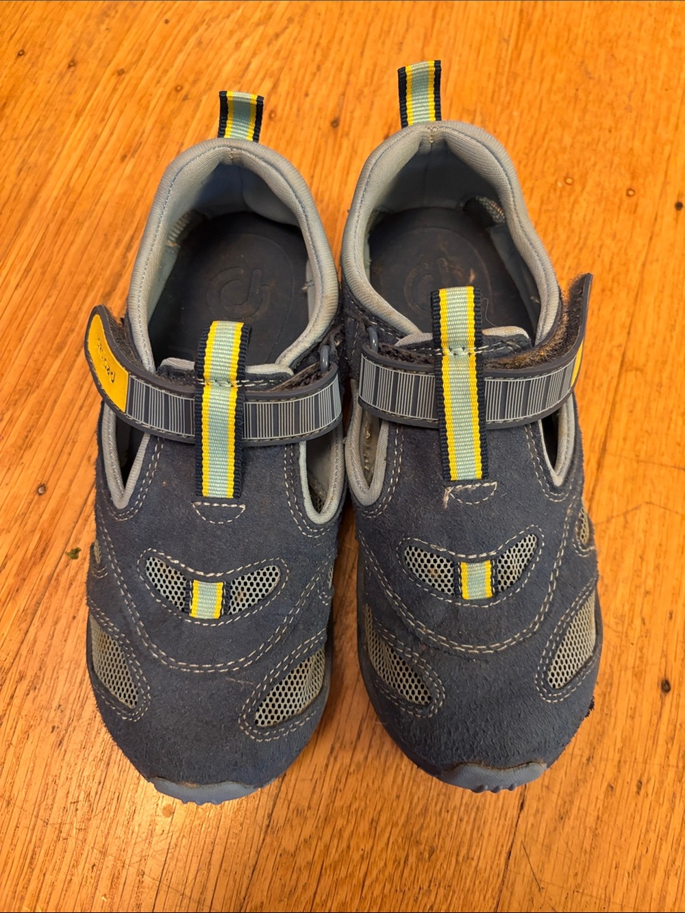 pediped Navy and Yellow Water Shoes